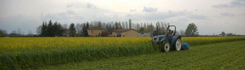 grano grano